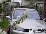 Renault Laguna Москва